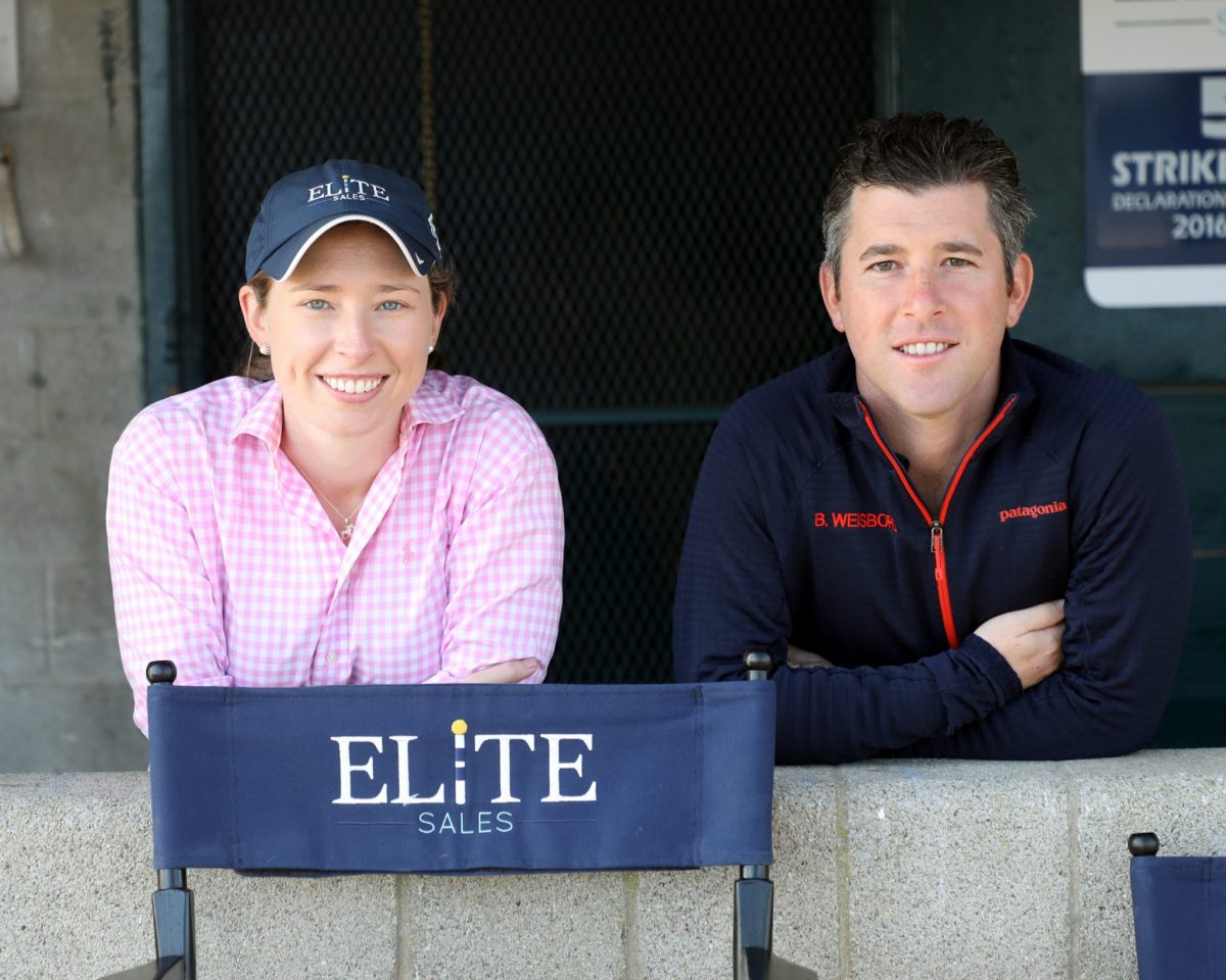 Elite to Enter Yearling Consignment Business [Video]