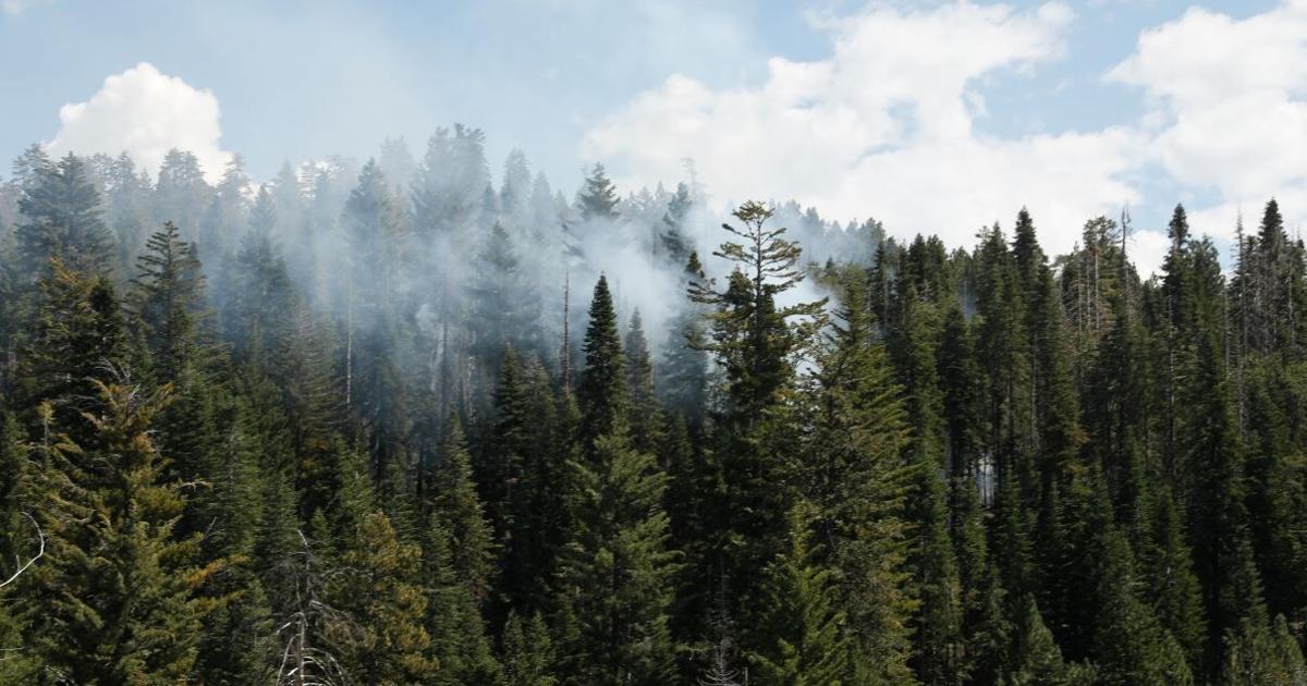 Quarry Fire Grows to 2,100+ Acres in Stanislaus National Forest | News [Video]