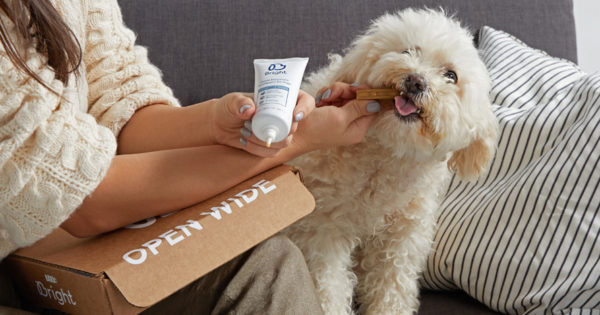 Bark Expands Into Health With a Dog Dental Care Solution [Video]