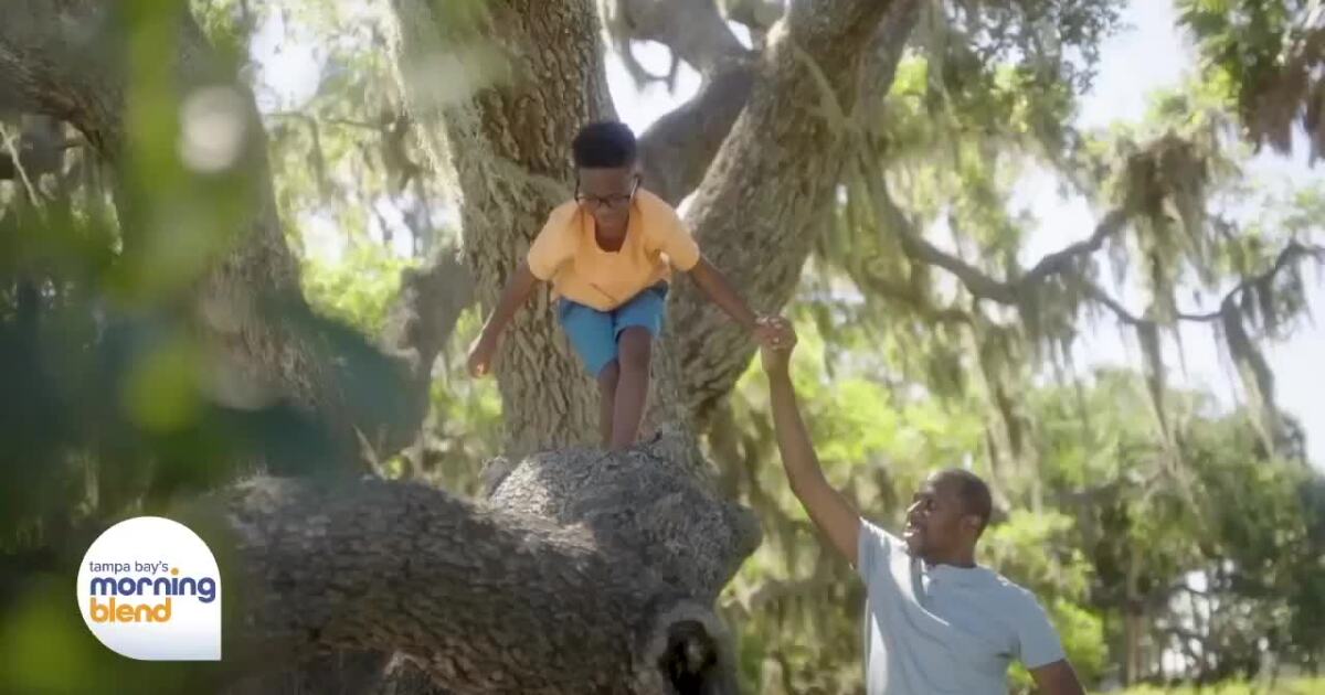 Sarasota County is the Ideal Place to Get Outdoors [Video]