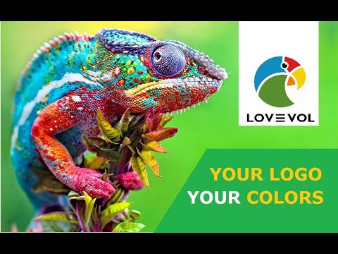 LOVEVOL How to Personalize Your Logo and Colors to Match Your Company [Video]