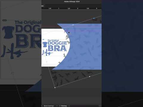 Come design with us – The Original Doggie Bra [Video]