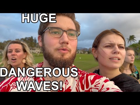 It’s DANGEROUS down there!!! [Video]