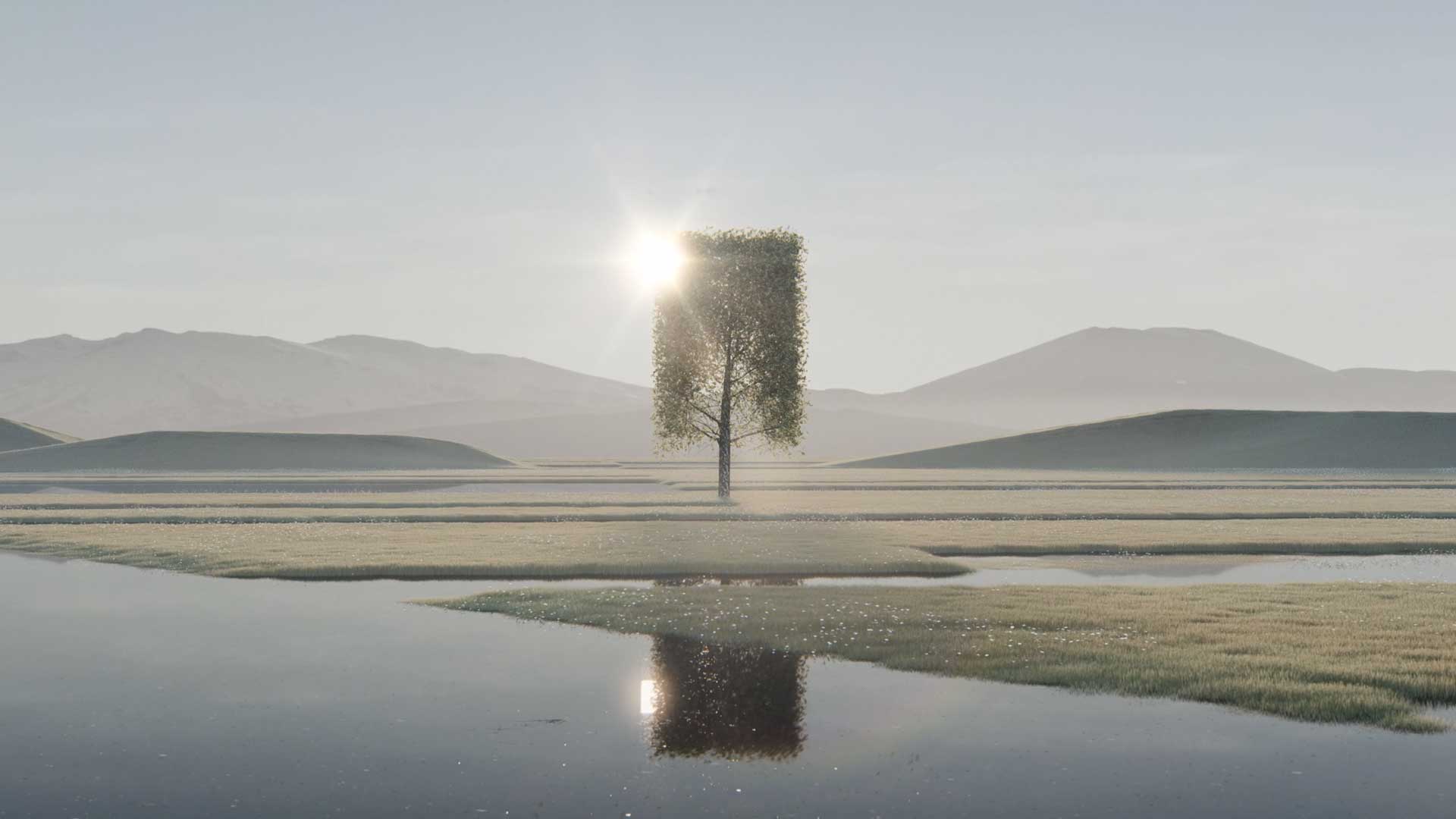 Six N. Five Squares Up to Nature in “Species” Short Film – Motion design [Video]