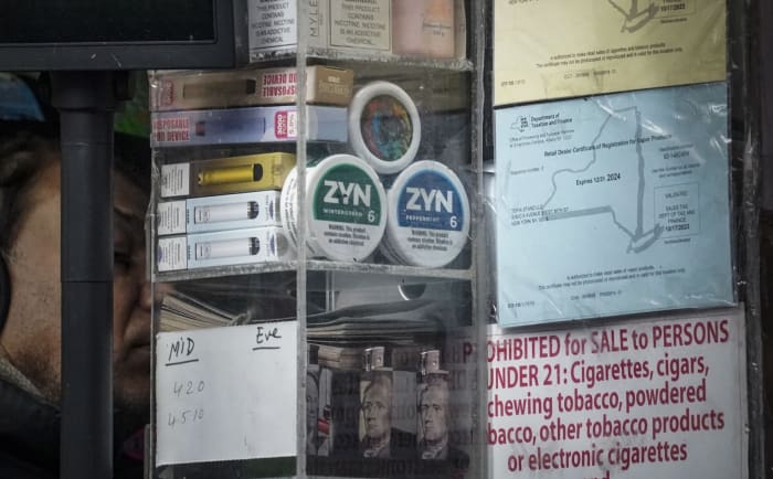 Zyn nicotine pouches are all over TikTok, sparking debate among politicians and health experts [Video]