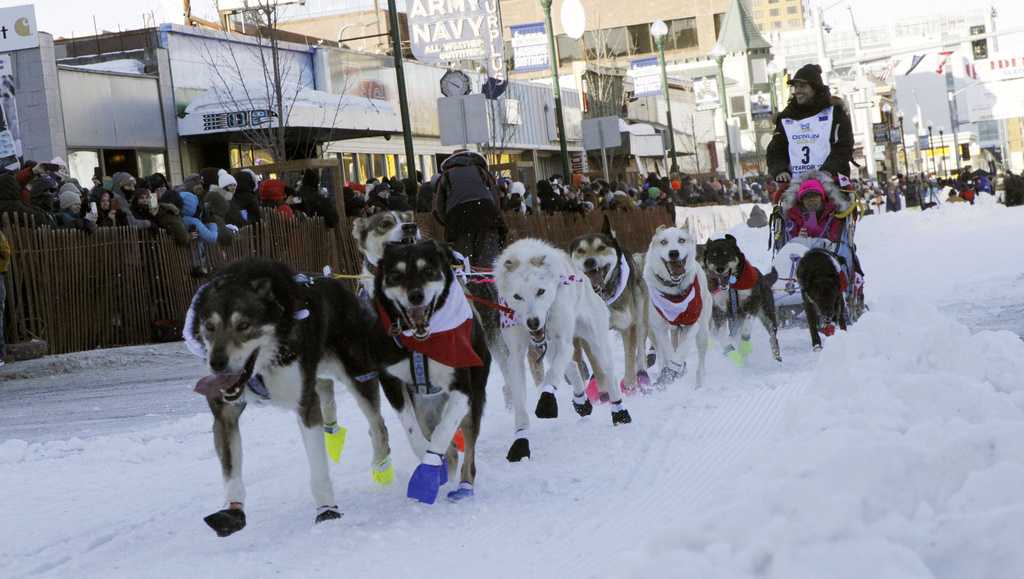 Alaska’s Iditarod dogs get neon visibility harnesses after 5 were fatally hit while training [Video]