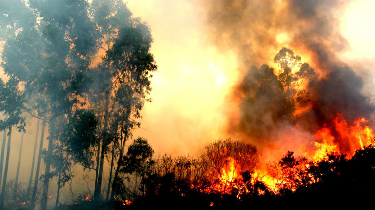 How a warming climate is setting the stage for wildfires [Video]