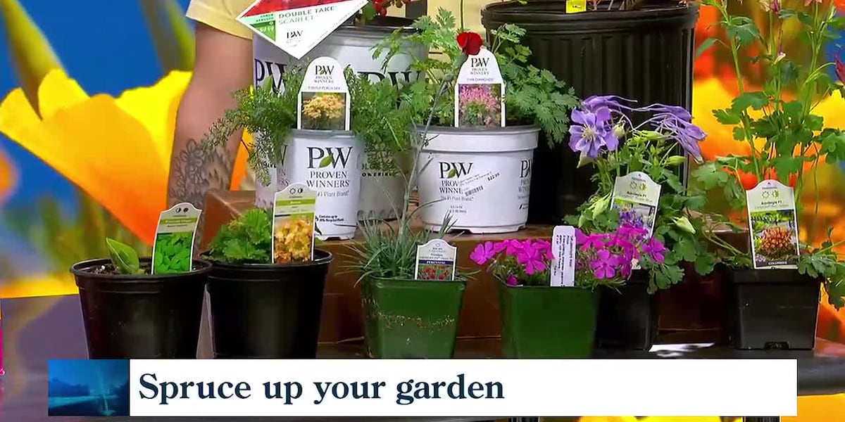 Gardening moves to make before spring officially hits [Video]