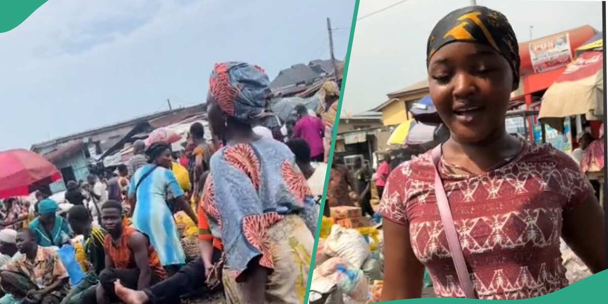 My Love for Hard Working Girls: Nigerian Lady Shows Off Her Food Business Products and Work Ethic [Video]