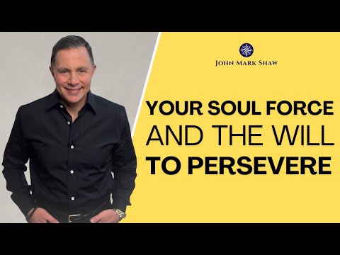Your Soul Force and The Will To Persevere [Video]