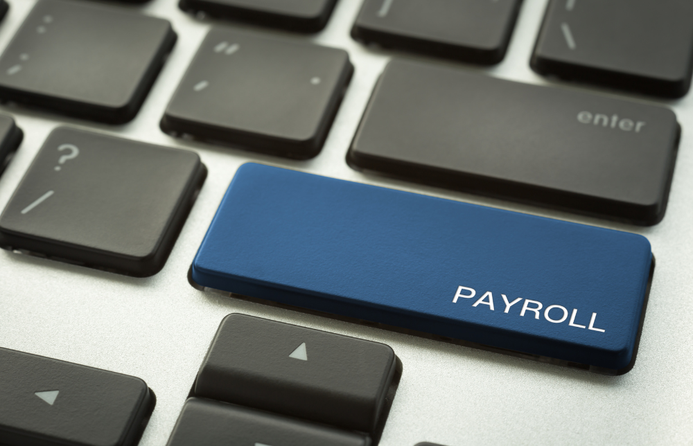 Strategic Payroll Planning: Transform Costs, Boost Profits [Video]