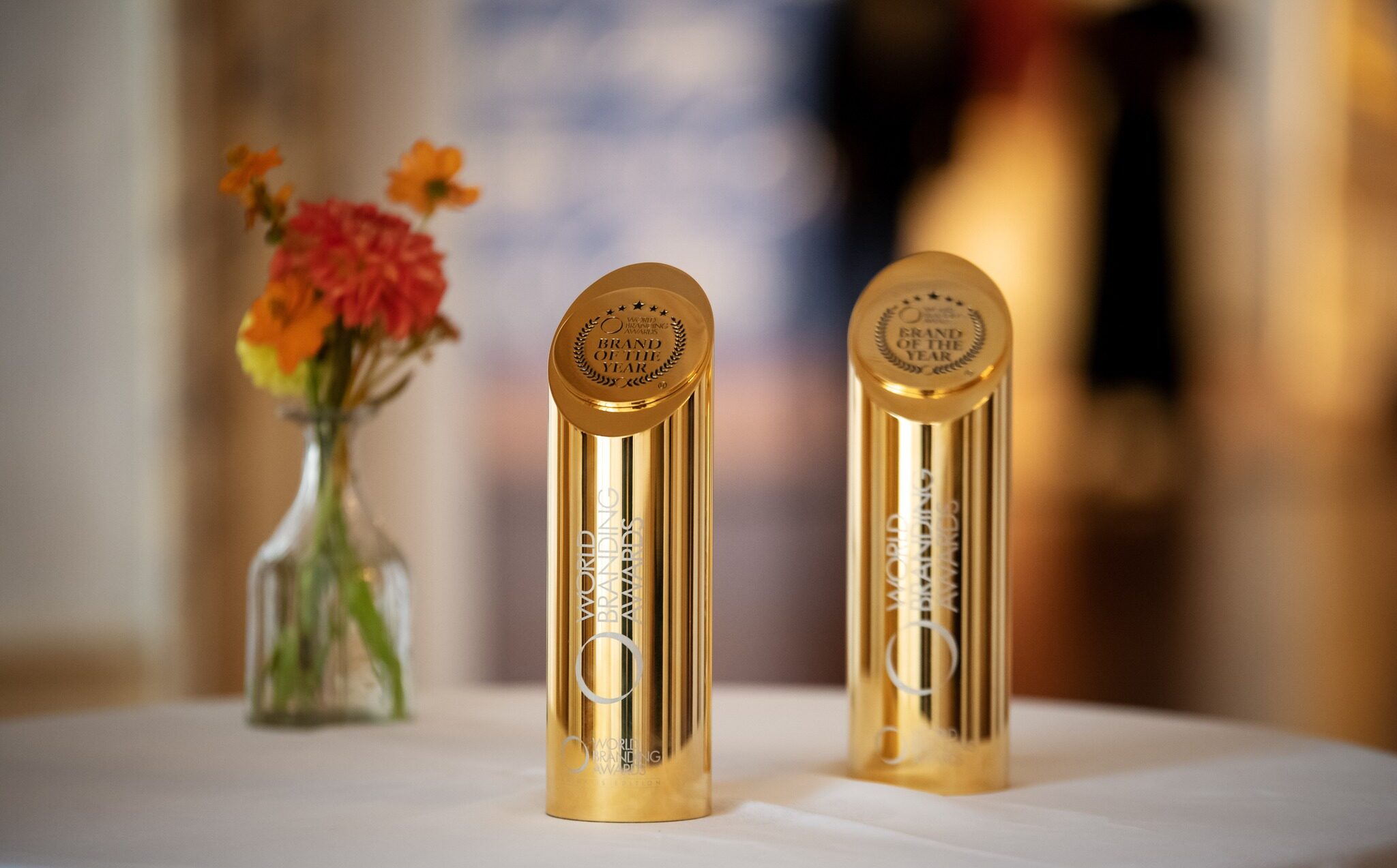 A Short History of the World Branding Awards [Video]