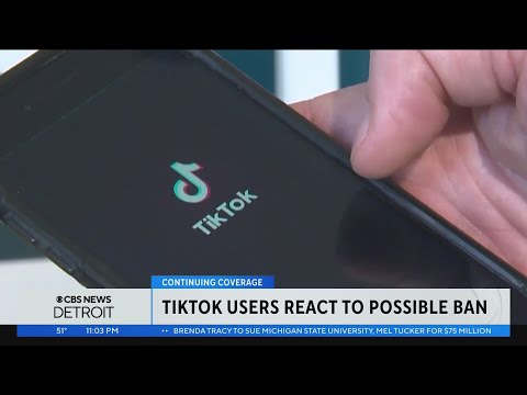 Could TikTok be banned in America? Detroit influencers hope not [Video]