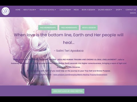 Website Design for Salini.Love [Video]
