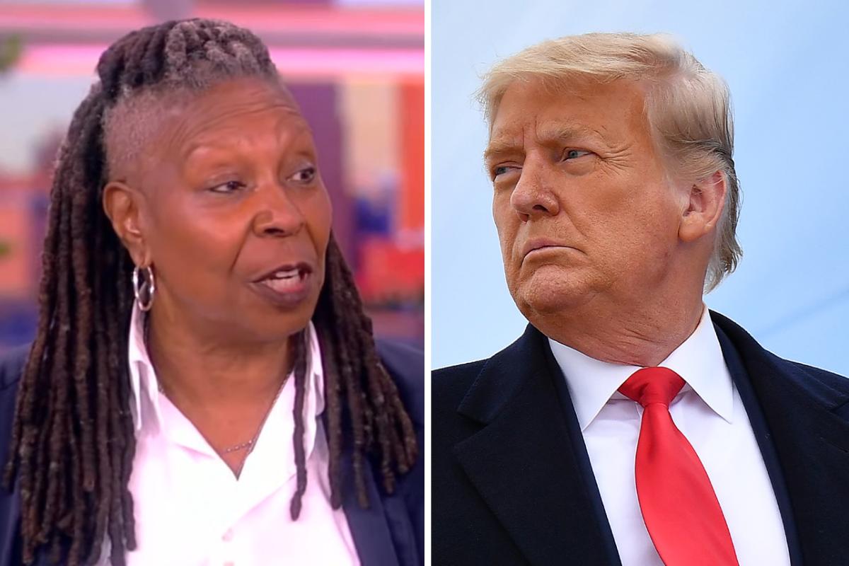Whoopi Goldberg Tells The View She Thinks Donald Trump Has Been Using AI In His Appearances: I Dont Believe Trump Is Actually Out There [Video]