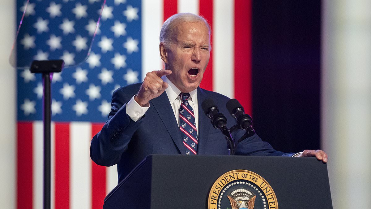 TikTok influencers who visited the White House feel betrayed now Biden is backing the ban [Video]