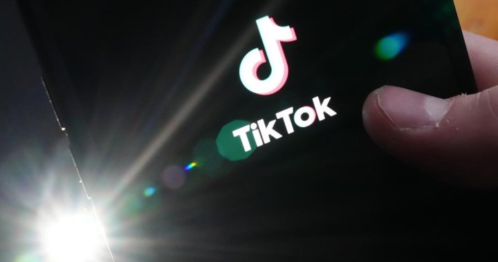 Up in the air as to what it means: Winnipeg content creator on TikTok crackdown – Winnipeg [Video]