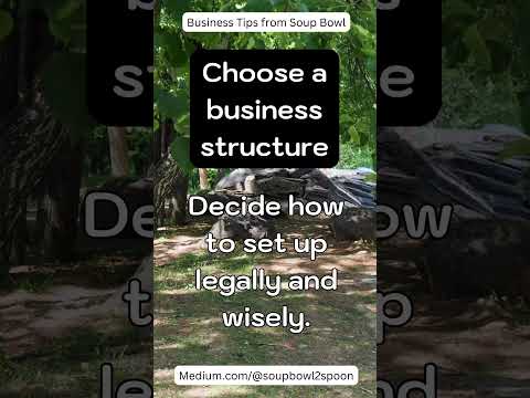 SB2S Business Tip # 5:  Choose a Business Structure [Video]