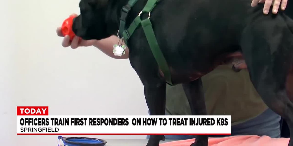 First responders train with veterinarians and K9 officers [Video]