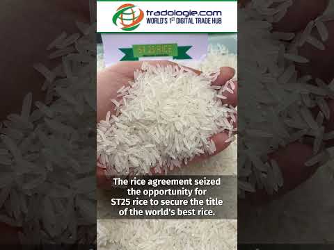 Enhancing Brand Positioning for Rice Exports to Boost Value in the Global Market [Video]