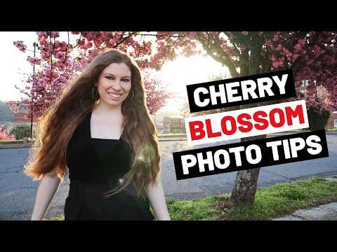 Must Know Tips For Creating Cherry Blossom Content For Social Media [Video]