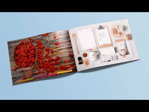 ProBrand Guide: Crafting Professional Brand Identity Guidelines [Video]
