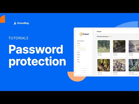 Password Protecting Your Assets and Brands [Video]