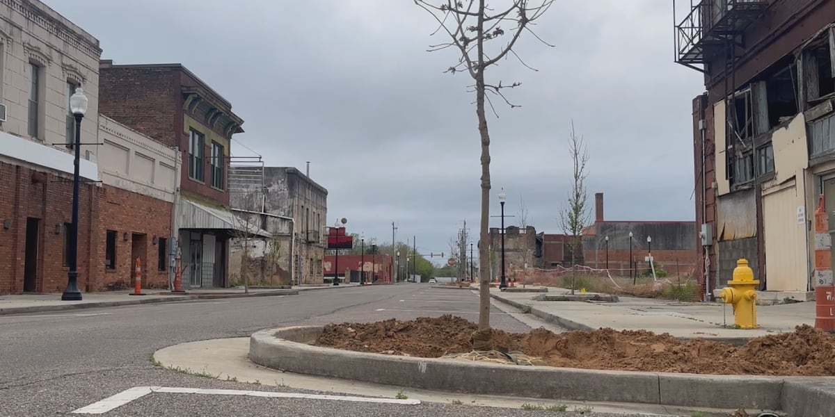 New trees planted on 5th Street in Meridian [Video]