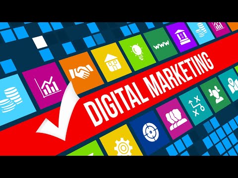 Digital Marketing Experts Share Pro Tips [Video]