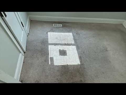 Heavy Soiled Carpet Cleaning (Quick Walk Thru) – Panther Plush Carpet Cleaning [Video]