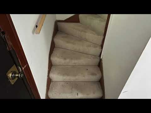 Stairway Deep Cleaning And Spot Removal – Panther Plush Carpet Cleaning [Video]