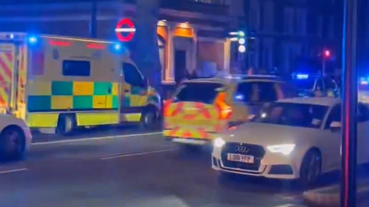 London tube station shut amid claims of a ‘stabbing’: Emergency services rush to Kennington underground – just hours after knifeman stabbed man on train at Beckenham eight miles away before going on the run [Video]