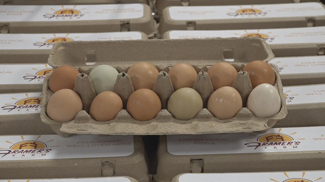 Blount Co. farm donates over 200 dozen eggs [Video]