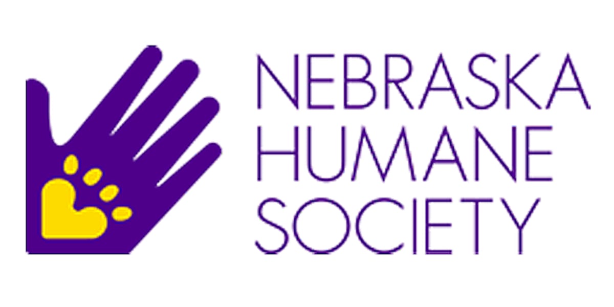 Nebraska Humane Society selects Wiese as new permanent CEO [Video]