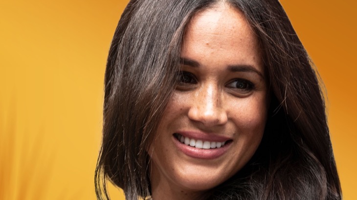 Meghan Markle’s Brand Will Only Work With A-lister Support, Expert Says [Video]