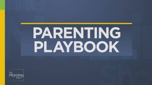 Parenting Playbook: How to help your teen navigate social media in 2024 [Video]