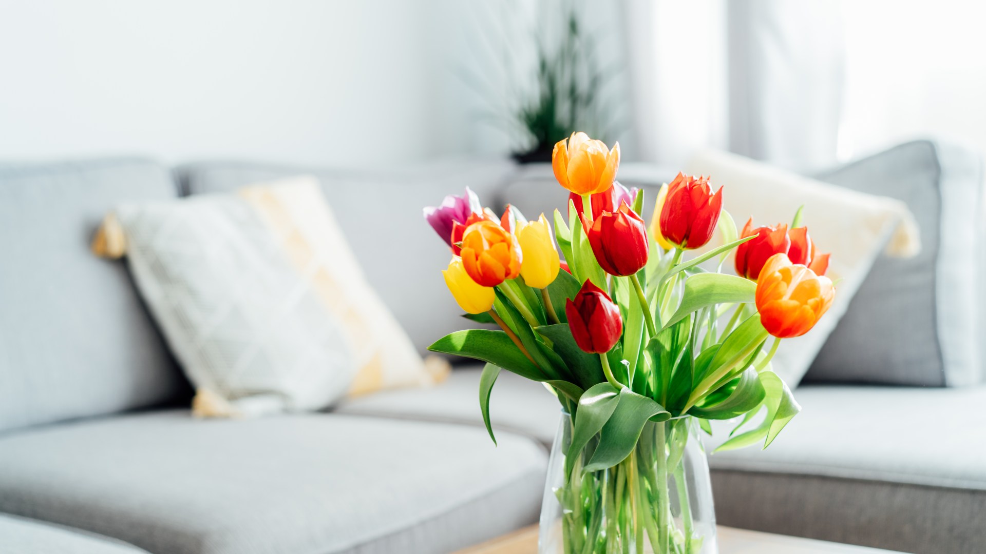 I’m an interiors expert – here’s the 8 essential spring updates you should make right now to refresh your home [Video]