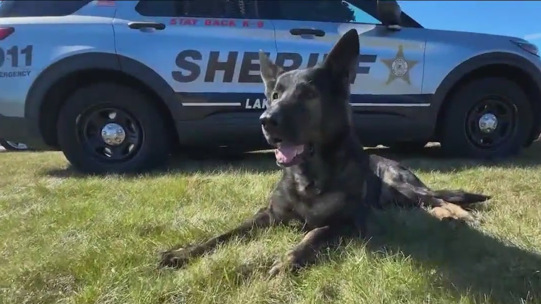 K9 Dax in full retirement mode after serving 9 years in Lake County [Video]