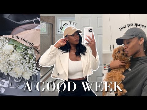 WEEKLY VLOG | TV Appearance, New Hair Prep, Events & Dior gets Spayed [Video]
