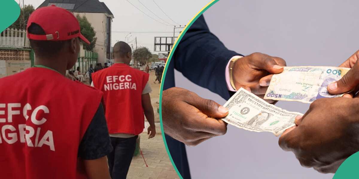 Charge for Service in Dollars and Go to Jail: EFCC Issues Stern Warning to Schools, Hotels, Others [Video]