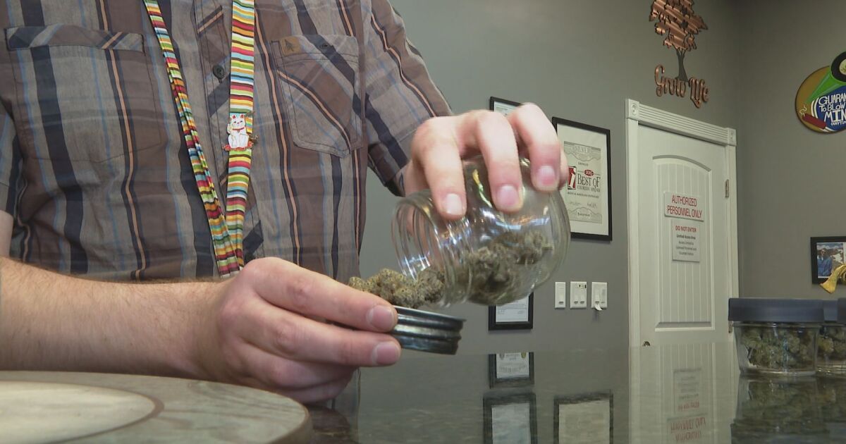 Recreational marijuana sales could start as early as June, Ohio policymakers say [Video]
