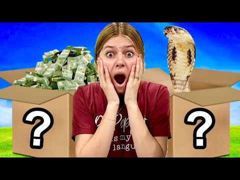 DON’T Choose the WRONG MYSTERY BOX!!! [Video]