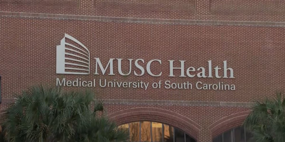 MUSC discusses AI in the future of organ transplants [Video]