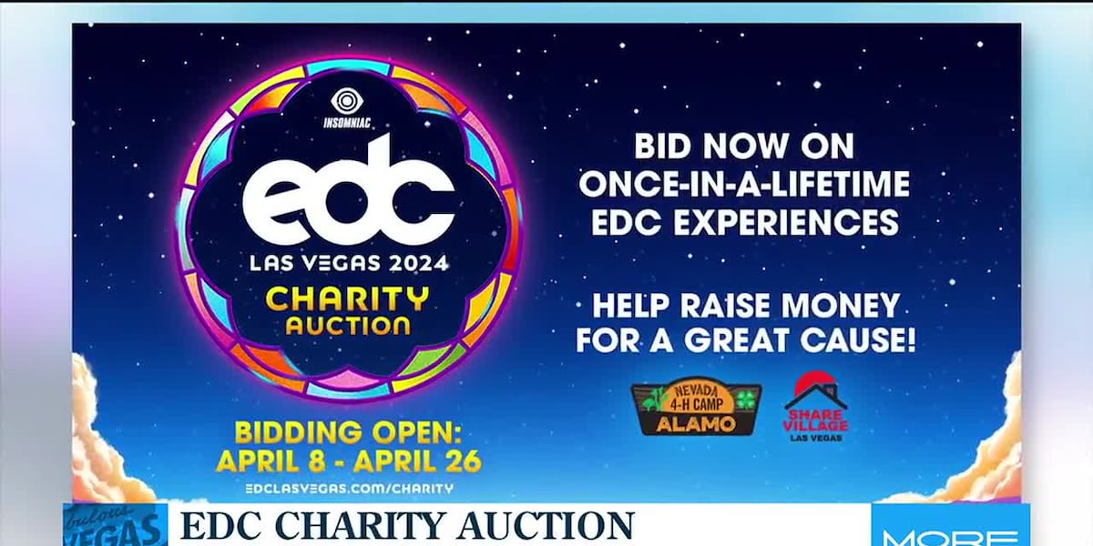 EDC Charity Auction [Video]
