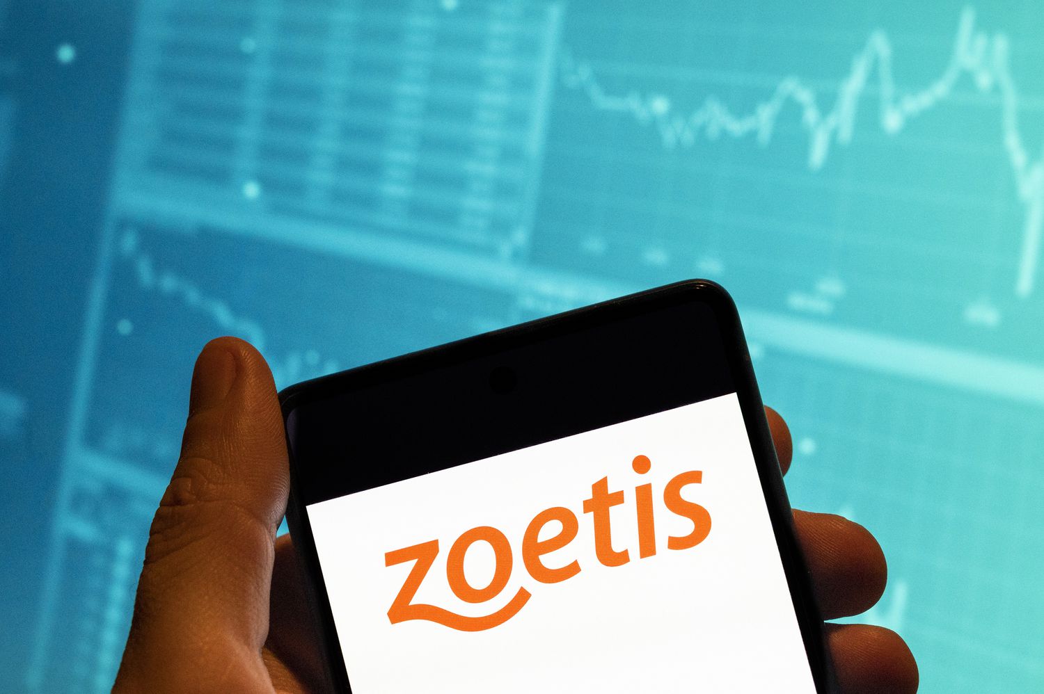 Zoetis Stock Slumps on Report Suggesting Its Arthritis Drugs May Make Pets Sick [Video]