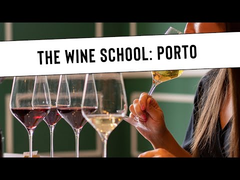 The Wine School | WOW Porto | José Sá Director [Video]