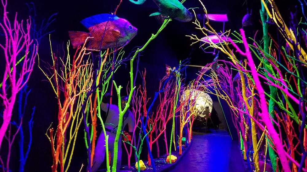 Meow Wolf announces layoffs amid budget cuts [Video]