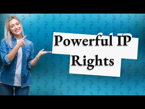 What are the 4 types of intellectual property rights? [Video]