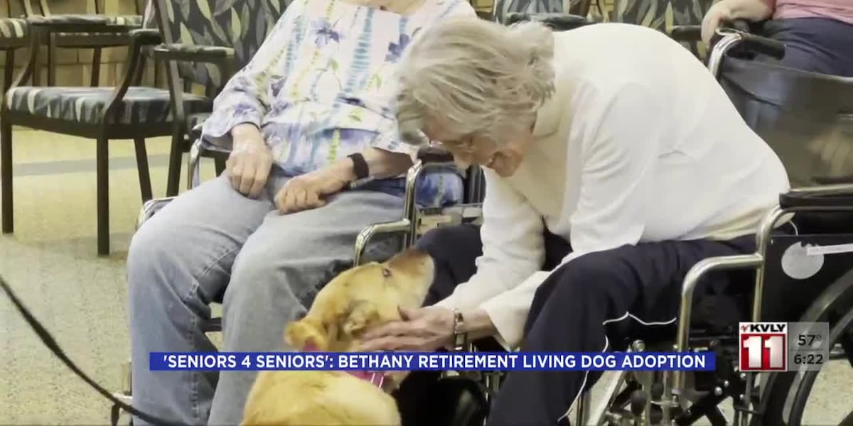 Seniors 4 Seniors: Bethany Retirement Living dog adoption program [Video]