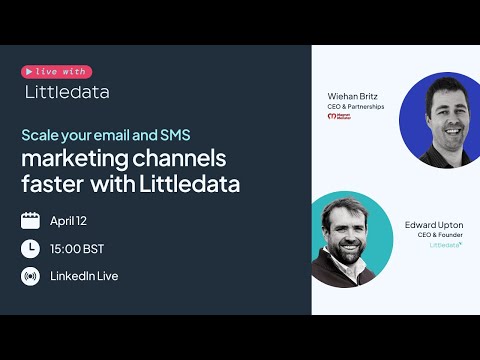 Scale your email and SMS marketing channels faster with Littledata [Video]